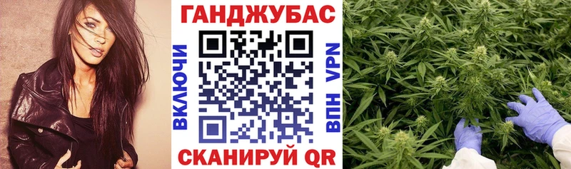 Продажа наркотиков Гатчина Каннабис  ссылка на мегу tor  Гашиш  A-PVP  АМФЕТАМИН  Галлюциногенные грибы 