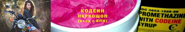 шишки Богородицк