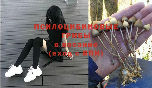 каннабис Бородино