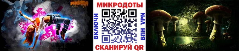 нарко площадка какой сайт Гатчина Псилоцибиновые грибы Psilocybe
