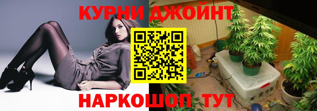 Бошки марихуана ГИДРОПОН  Гатчина  Канабис AK-47  Канабис White Widow 